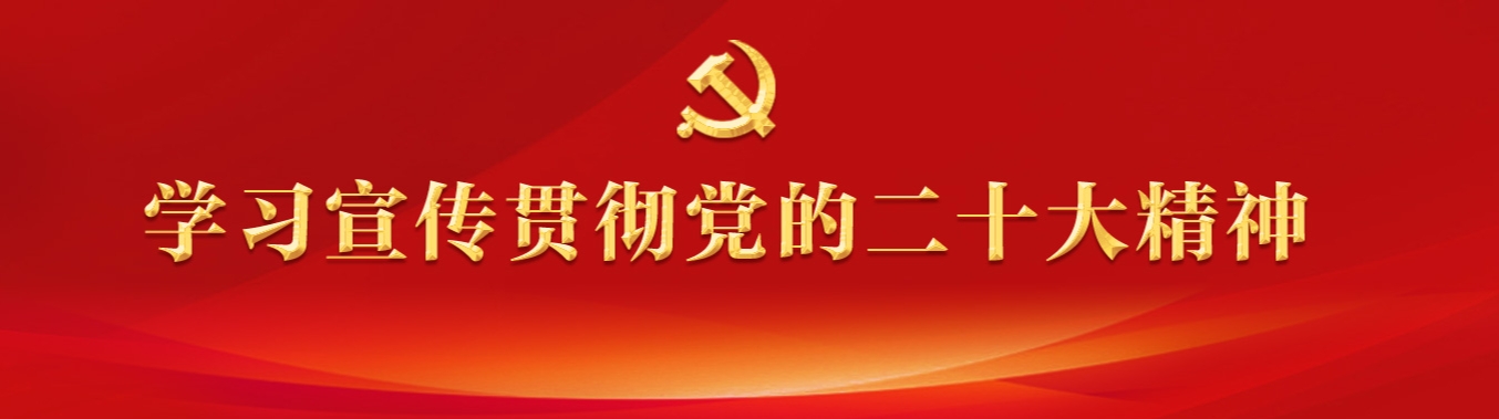 学习宣传贯彻党的二十大精神